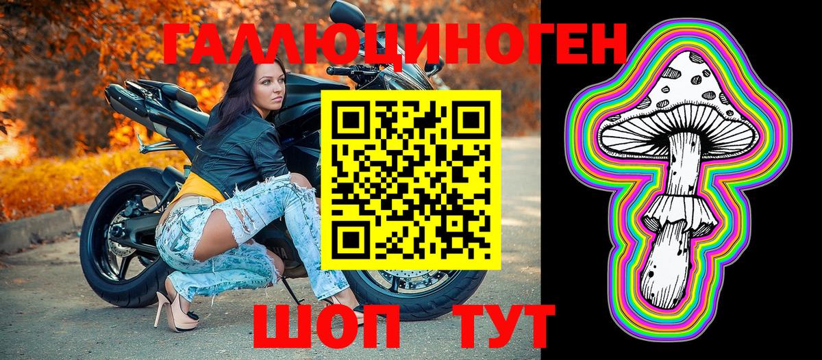 Галлюциногенные грибы Psilocybe  Вход с VPN  где купить наркоту  Орёл 